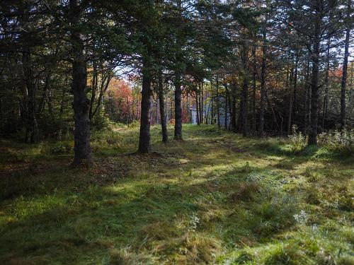 Lot River Road, Terence Bay, NS 