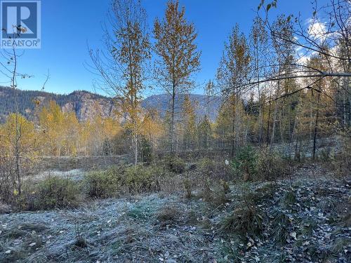 1620 Arrow Lakes  Drive, Castlegar, BC 