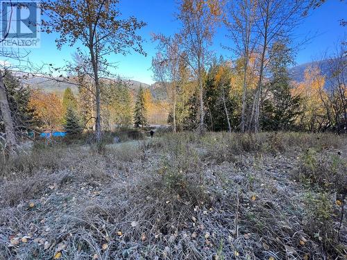 1620 Arrow Lakes  Drive, Castlegar, BC 