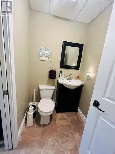 10 Kelly Place, Grand Falls-Windsor, NL - Indoor Photo Showing Bathroom