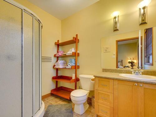 Ensuite bathroom - 235 Ch. De Cortina, Piedmont, QC - Indoor Photo Showing Bathroom