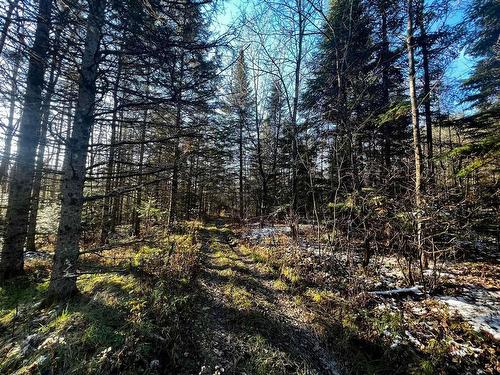 Land/Lot - Route 220, Orford, QC 
