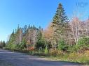 Lot 49 Lucas Lane, Cleveland, NS 