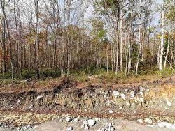 63 Morton Drive  Liverpool, NS B0T 1K0