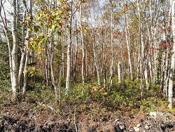 61 Morton Drive  Liverpool, NS B0T 1K0