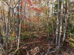 64 Morton Drive  Liverpool, NS B0T 1K0