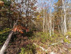 65 Morton Drive  Liverpool, NS B0T 1K0