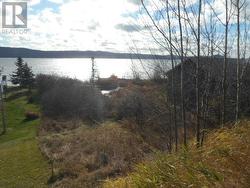 313 Main Street  Springdale, NL A0J 1T0