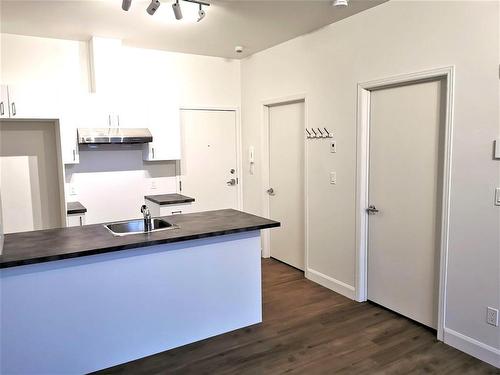 Logement - 5 Rue Boivin, Baie-Saint-Paul, QC - Indoor Photo Showing Kitchen