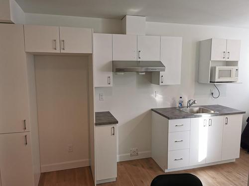 Dwelling - 5 Rue Boivin, Baie-Saint-Paul, QC - Indoor Photo Showing Kitchen