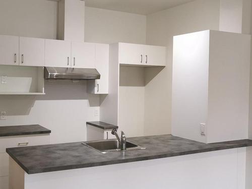 Logement - 5 Rue Boivin, Baie-Saint-Paul, QC - Indoor Photo Showing Kitchen