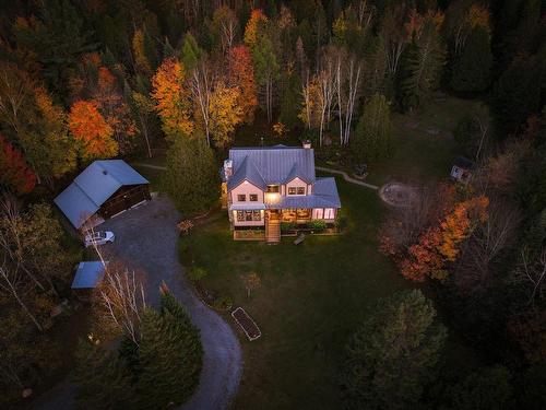 Overall view - 455 Mtée Fortier, Mont-Tremblant, QC - Outdoor