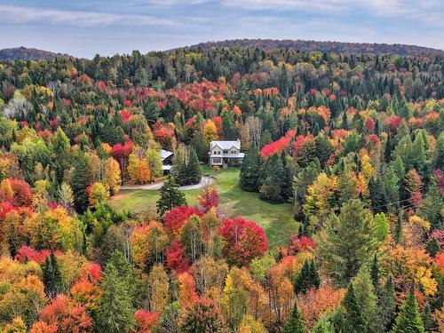 Overall view - 455 Mtée Fortier, Mont-Tremblant, QC - Outdoor With View