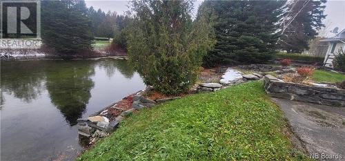 7976 Route 17, Kedgwick, NB - Outdoor With View