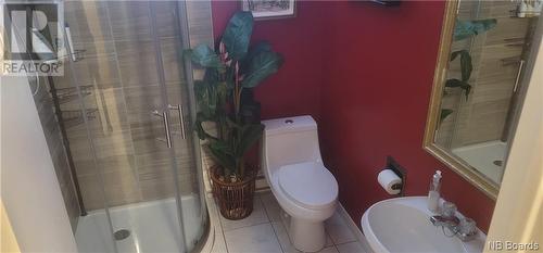 7976 Route 17, Kedgwick, NB - Indoor Photo Showing Bathroom