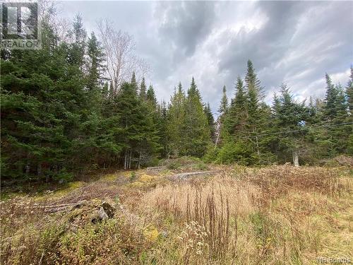 669 Route 172, Back Bay, NB - Outdoor With View