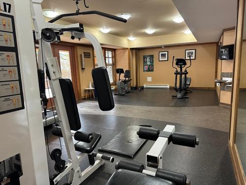 N120 - 2090 Summit Drive, Panorama, BC - Indoor Photo Showing Gym Room