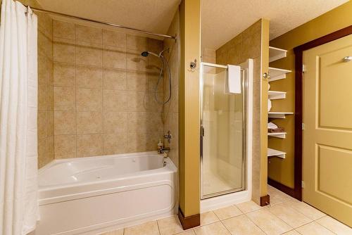 213 - 1500 Mcdonald Avenue, Fernie, BC - Indoor Photo Showing Bathroom
