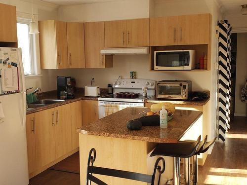 Cuisine - 202  - 204 41E Rue, Notre-Dame-Des-Pins, QC - Indoor Photo Showing Kitchen With Double Sink