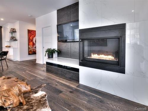 Salon - 202-112 Route 104, Saint-Jean-Sur-Richelieu, QC - Indoor Photo Showing Living Room With Fireplace