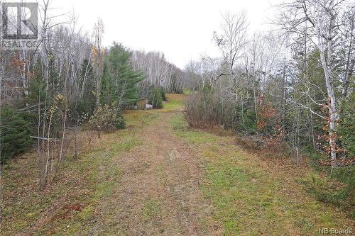 Lot 1260 Road, Coal Creek, NB 