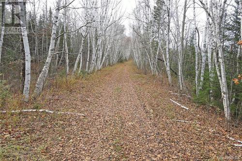 Lot 1260 Road, Coal Creek, NB 