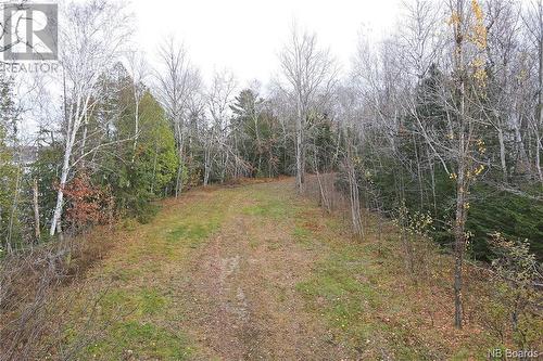 Lot 1260 Road, Coal Creek, NB 