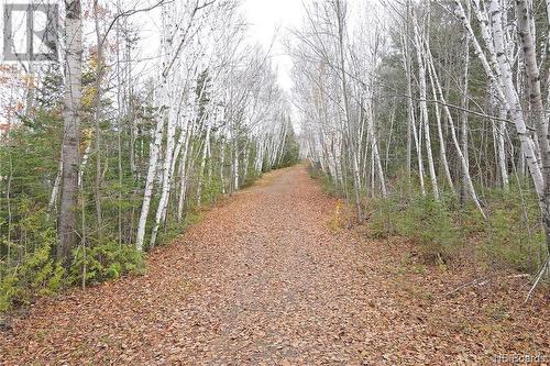 Lot 1260 Road, Coal Creek, NB 