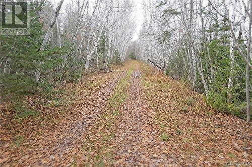 Lot 1260 Road, Coal Creek, NB 