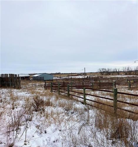 68027 154W Road, Virden, MB - Outdoor With View