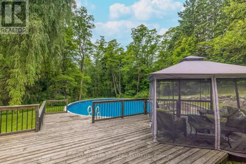 114 Bullis Road N, Brighton, ON - Outdoor With Above Ground Pool With Deck Patio Veranda With Backyard