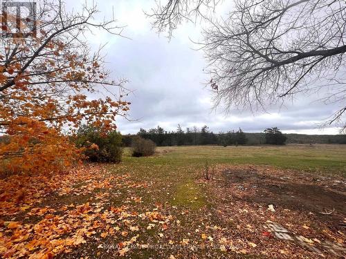 154 Elmbrook Road, Prince Edward County, ON - Outdoor With View