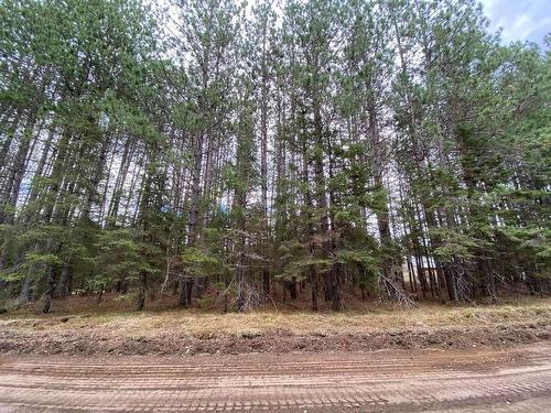 Land/Lot - Ch. Schwartz, Thorne, QC 