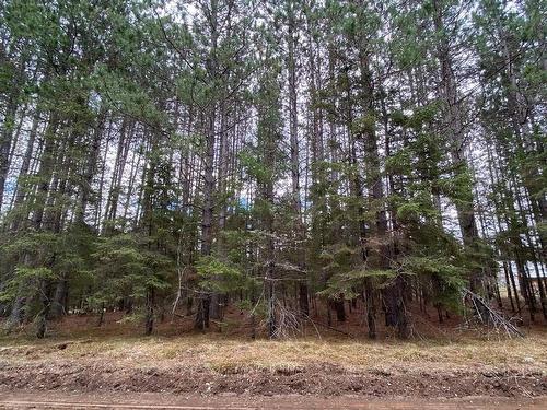 Land/Lot - Ch. Schwartz, Thorne, QC 