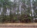 Land/Lot - Ch. Schwartz, Thorne, QC 