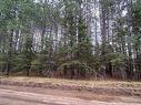 Land/Lot - Ch. Schwartz, Thorne, QC 