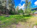 9338 Half Moon Avenue, Moyie, BC  - Outdoor 