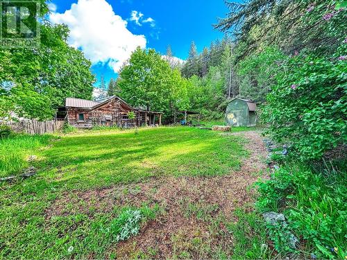 9338 Half Moon Avenue, Moyie, BC - Outdoor