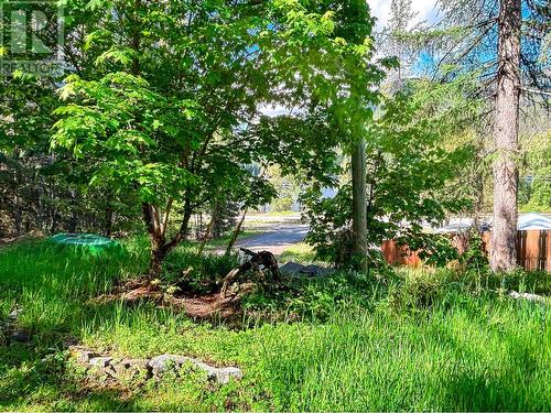 9338 Half Moon Avenue, Moyie, BC - Outdoor