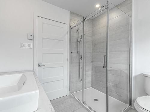 Bathroom - 81A Rue Du Rossignol, Brownsburg-Chatham, QC - Indoor Photo Showing Bathroom