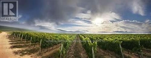 44-55 Niagara Stone Road N, Niagara-On-The-Lake, ON 