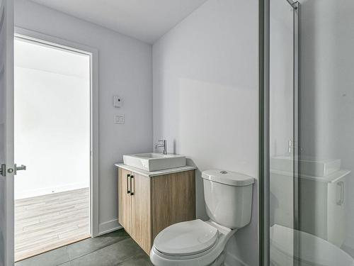 Bathroom - 65 Rue Du Rossignol, Brownsburg-Chatham, QC - Indoor Photo Showing Bathroom