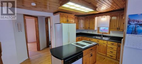 20 Tims Lane, Grand Bank, NL - Indoor Photo Showing Kitchen With Double Sink