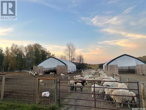 Kaposvar Creek Sheep Farm, Spy Hill Rm No. 152, SK 