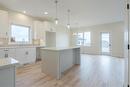 58 Wild Plum Lane, Steinbach, MB  - Indoor Photo Showing Kitchen With Upgraded Kitchen 