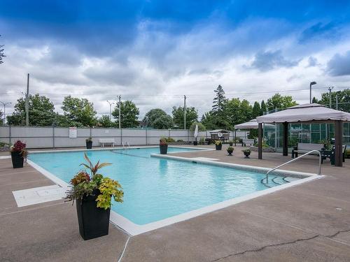 Piscine - 105-8065 Boul. St-Laurent, Brossard, QC - Outdoor With In Ground Pool With Backyard