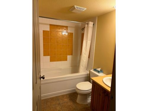 107 - 2080 Summit Drive, Panorama, BC - Indoor Photo Showing Bathroom