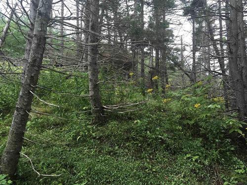 Pleasant Bay Road, Pleasant Bay, NS 