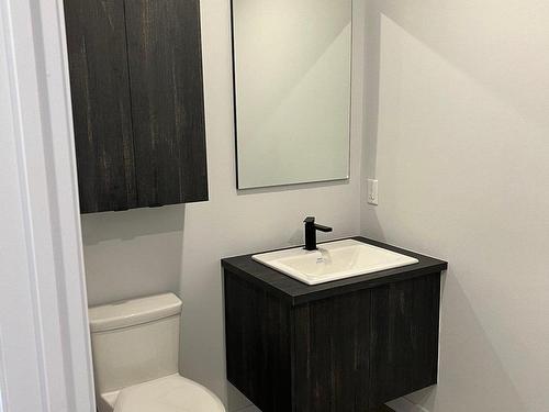 Salle d'eau - Rue Tex-Lecor, Saint-Jérôme, QC - Indoor Photo Showing Bathroom