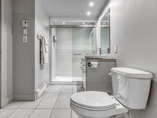 Salle de bains - 319-201 Rue Du Val-Des-Neiges, Beaupré, QC - Indoor Photo Showing Bathroom